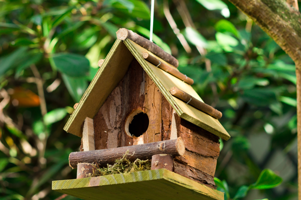 A Journey Through Time: The Fascinating History of Decorative Birdhouses