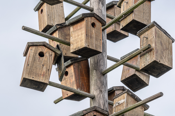 Wooden Decorative Birdhouses: The Perfect Addition to Your Outdoor Space