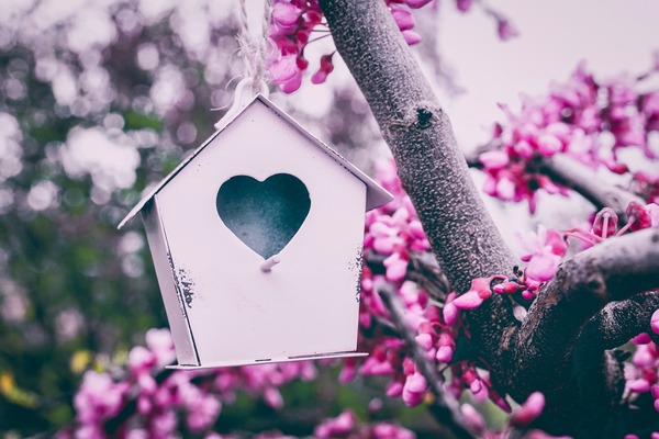 Nesting in Style: The Beauty of Custom Handcrafted Wooden Birdhouses