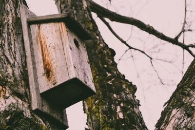 Feathered Friends: Exploring Different Types of Birdhouses including Traditional Wooden Birdhouses