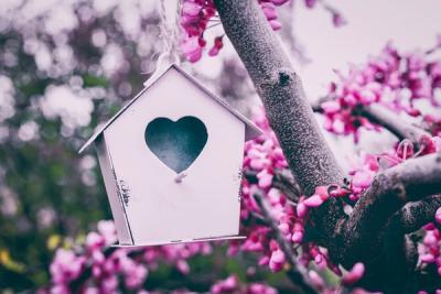 Nesting in Style: The Beauty of Custom Handcrafted Wooden Birdhouses